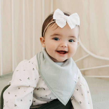 4 Pack Baby Bandana Bibs - Rex