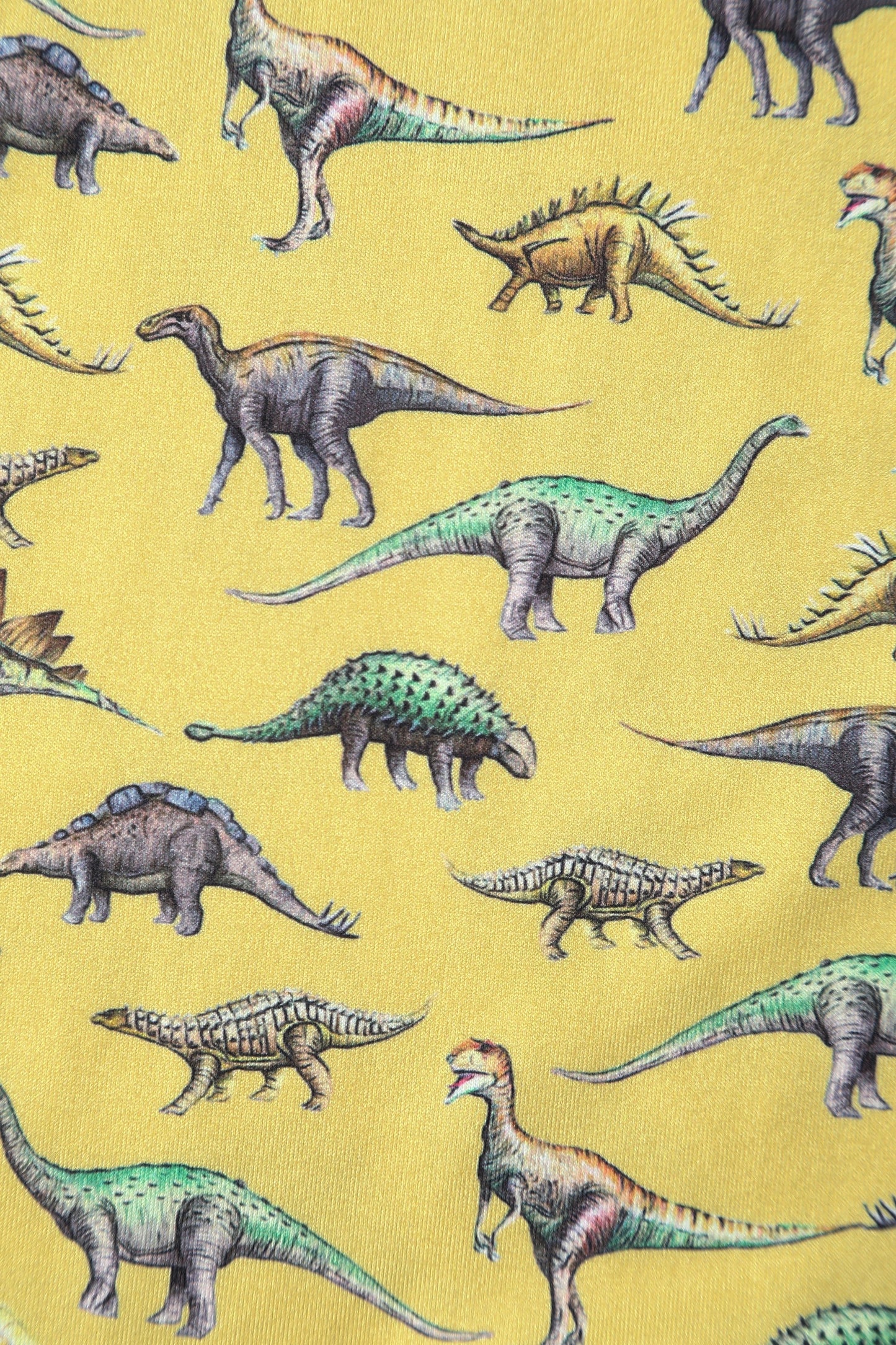 Billie Dinosaur Yellow Long Sleeved Dress