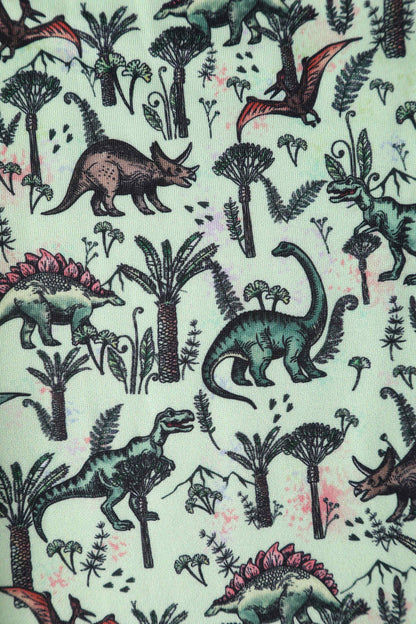 Amanda Dinosaur Green Flared Dress