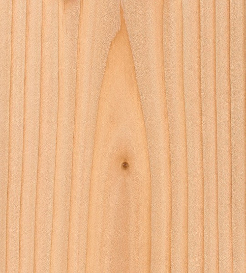 Douglas Fir