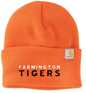 FYBA CARHARTT WATCH CAP 2.0